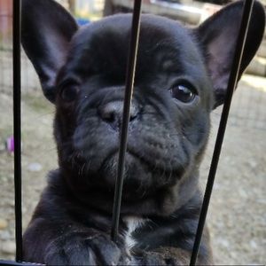 Meet your Posher, Baylee